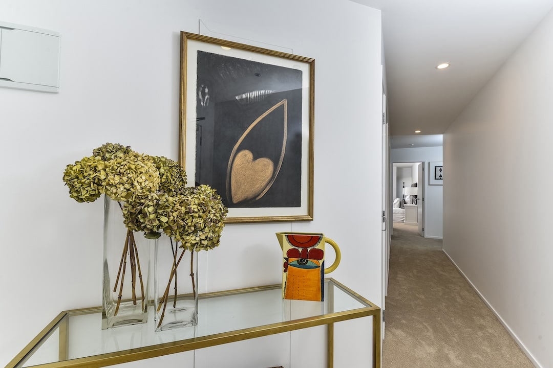 plastering, home, auckland painters